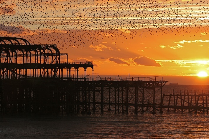 48 Hours in Brighton in Winter